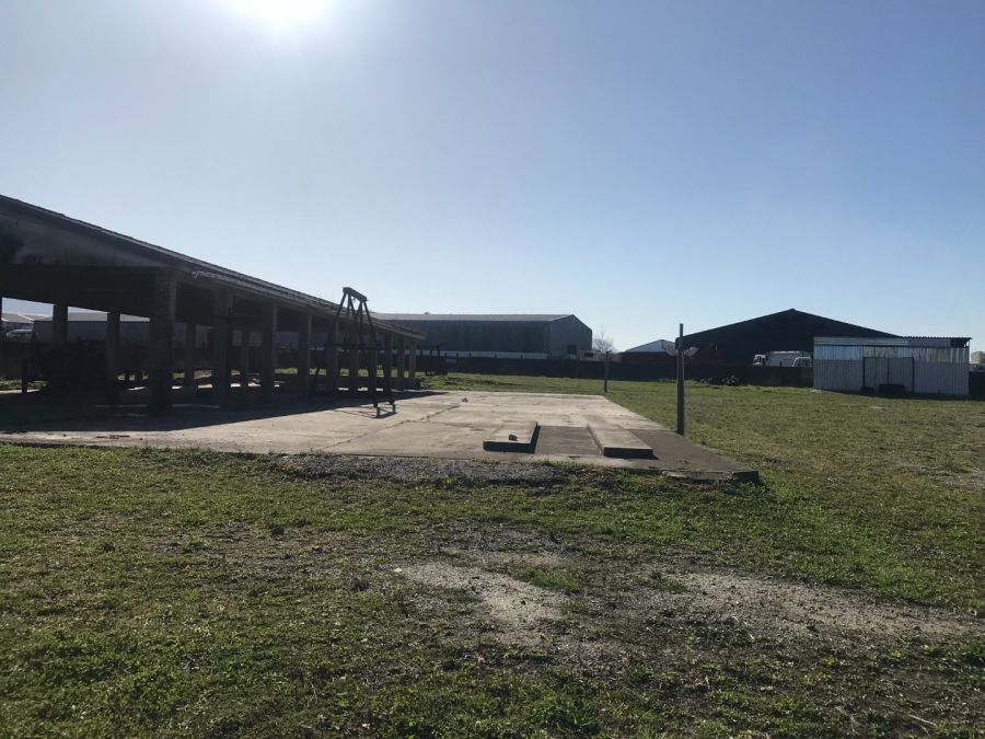 Commercial Property for Sale in Pacaltsdorp Western Cape